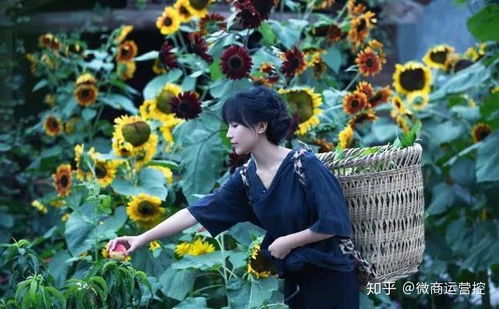 李子柒归来引爆全网，向往的生活真的回来了？