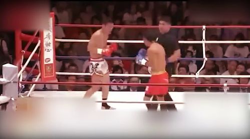 青春之战，热血沸腾，中日格斗新星的对决！