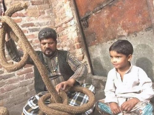 你以为很丑但越来越好看的标志，网友：越看越上头！