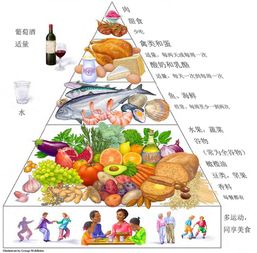 健康饮食示意图