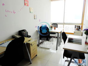 年轻创业者在办公室专注工作