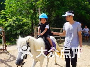 青少年马术培训课堂