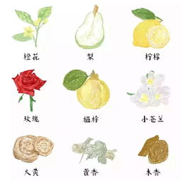 美言录20250515｜那些值得被记住的温柔句子，治愈了谁的一天？