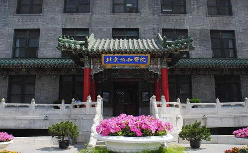 北京协和医学院整改背后：医疗改革的深水区如何破浪前行？