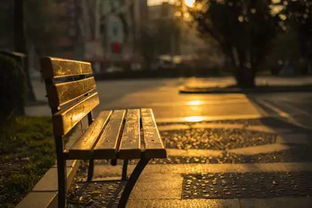 夕阳下的人影站在岔路口沉思