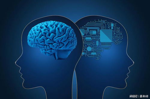 吸引力法则的真相：原来我们都被骗了？