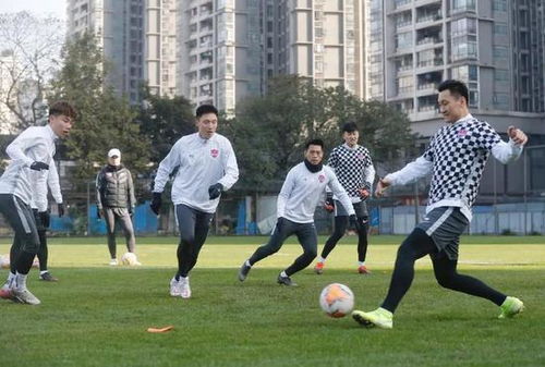 元敏诚训练场上专注训练