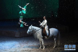 马术与现代科技结合展示