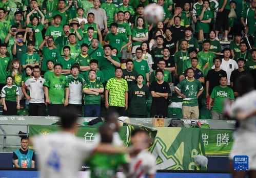 北京国安球迷看台