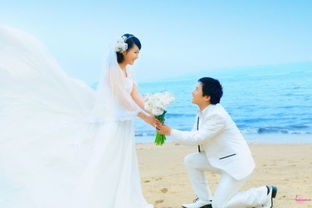 王晨正海边单膝跪地求婚照