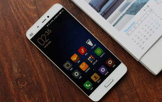 用户手持小米15手机玩游戏场景图