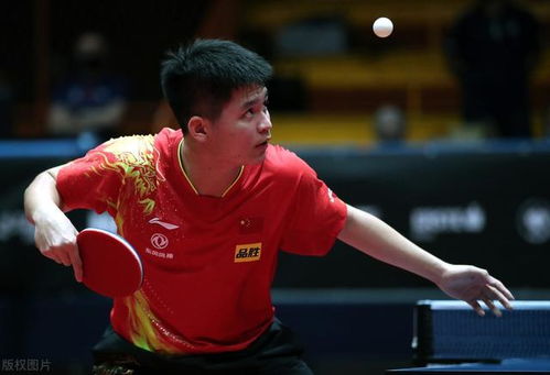 王楚钦与林诗栋比赛画面