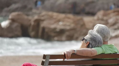 老年读书如台上玩月意境图