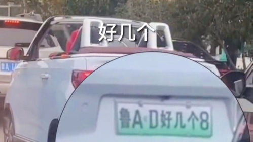 街头车辆牌照展示