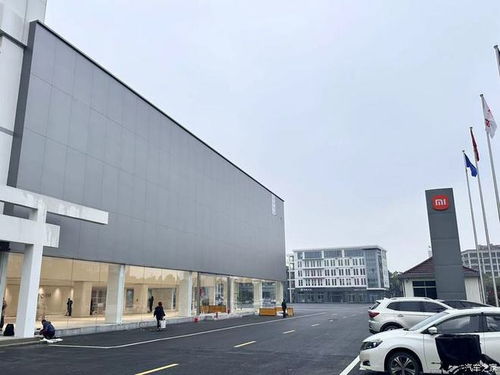 小米汽车交付中心实探：订单火爆背后，交付压力仍在加剧