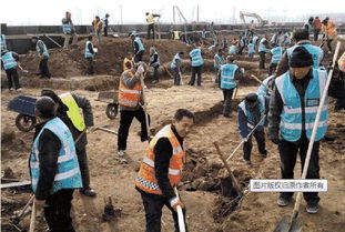 剧中藏海带领团队守护古墓场景
