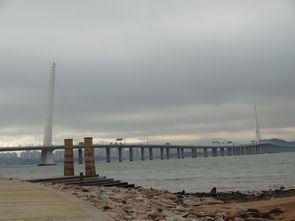 深圳湾科技园全景图