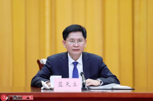 蓝天立在会议上讲话