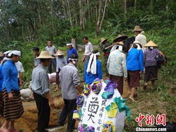 志愿者在山林中崩溃大哭场景
