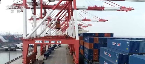 订单爆棚、仓库爆仓！外贸企业迎来“抢运潮”，背后真相揭秘