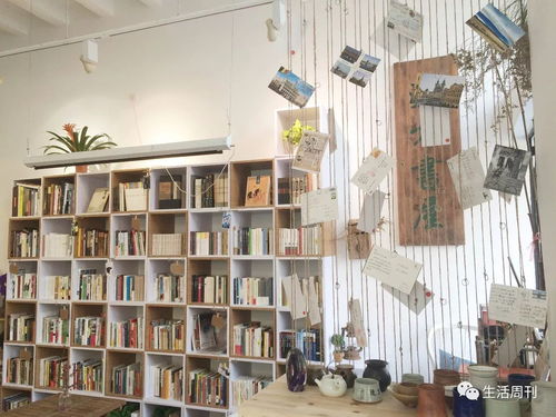 书店窗边的阳光洒落桌面场景