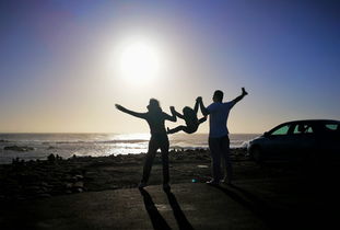 阳光洒在两人背影上的画面