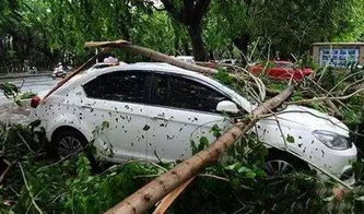 北京三预警齐发！雷电+冰雹+大风来袭，下班早点回家