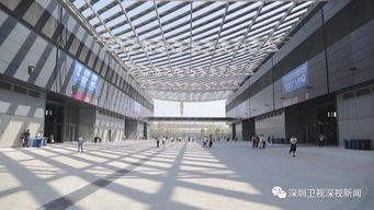 展馆内观众凝视盒盖