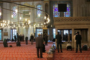 伊斯坦布尔会议厅空荡无人