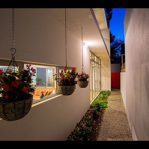 Building a decentralized autonomous organization