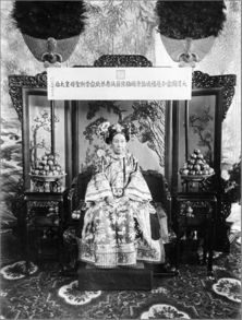 慈禧太后画像