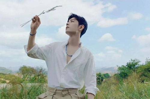 肖战新专辑宣传