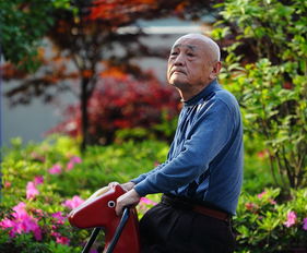 老人坐在家中神情失落