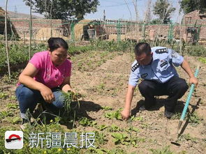 美国农场主愁容满面站在田地前