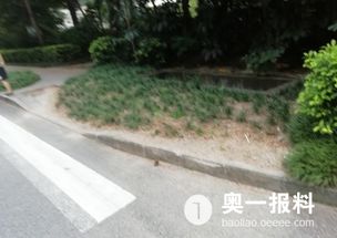 一位行人走在月下小径上