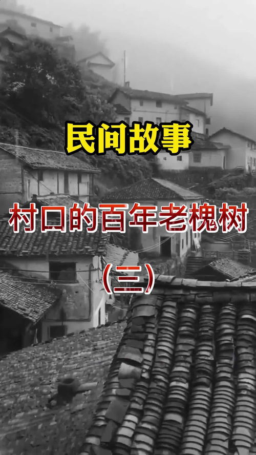 村口一棵古老的槐树，树干粗壮，枝叶茂盛