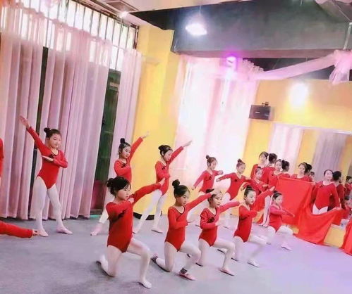 李晟在节目中认真排练