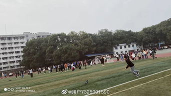 永远的初夏：那个在简书上刷屏的夏天故事，究竟触动了谁的心？