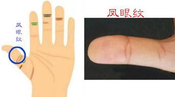 细节描写如何打动人心？我的写作心得分享