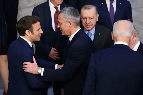 土耳其总统埃尔多安在会议中发言