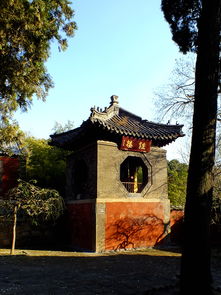 泰安普照寺外景