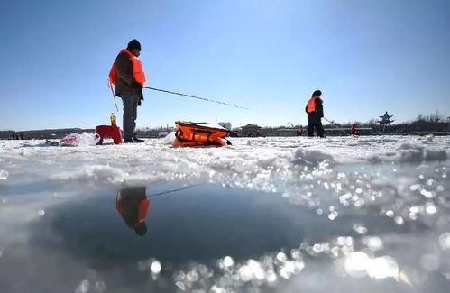 冰天雪地里的笑中带刀：东北文学中黑色幽默的生存哲学