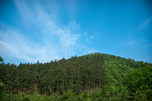 一家人自驾出游在风景优美的山间公路