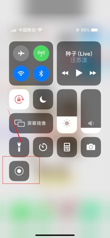 女孩手机屏幕上显示转账页面