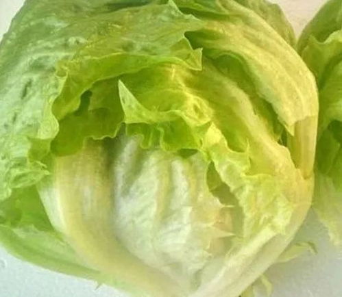 买包生菜竟发现青蛙？网友惊呼：这还能吃吗！