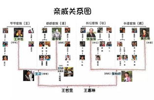 娱乐圈星二代关系图