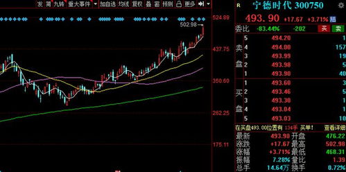 股民在电脑前查看宁德时代股票信息