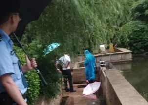 成都5岁女童被碾亡案被告车主发声：一场悲剧背后的真相与反思