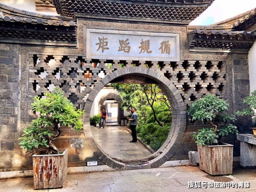 导师拿塑料袋帮学生打包茶歇，但啥都没抢到｜我在西南边陲开书店的那些日子