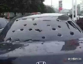 车辆在冰雹中停在路边避险